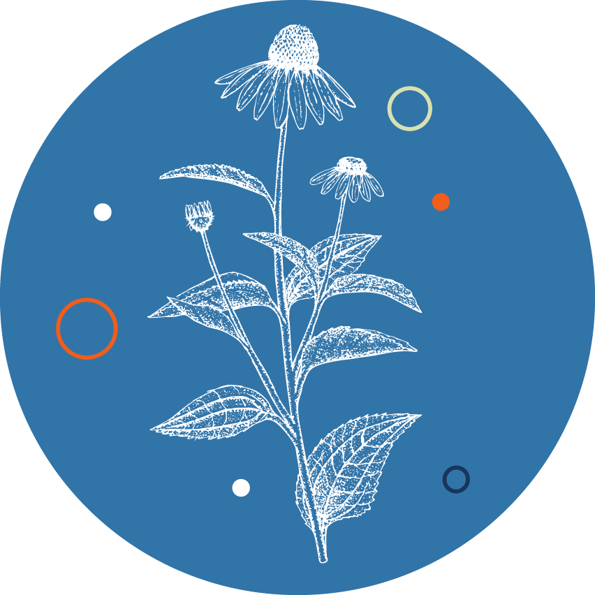Resfristp echinacea