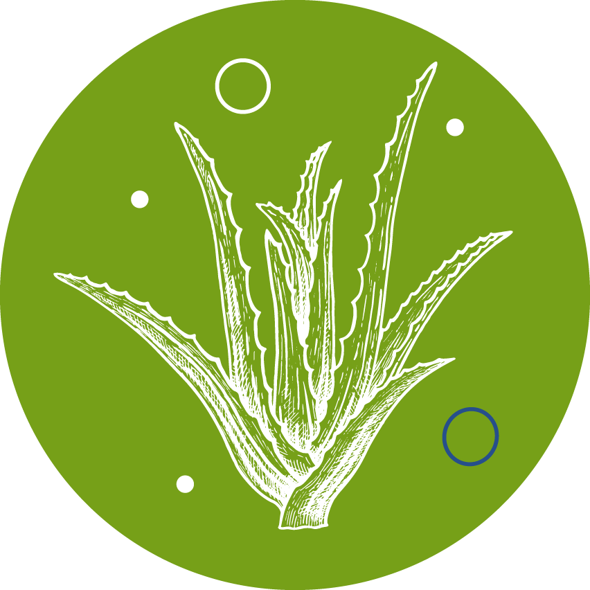 Visactiv aloe vera